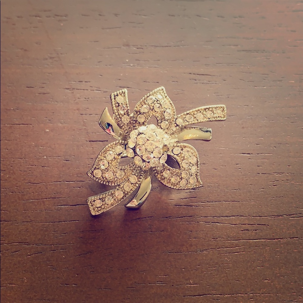 Silver sparkly pin